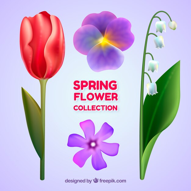 Colección de flores de primavera en estilo realista