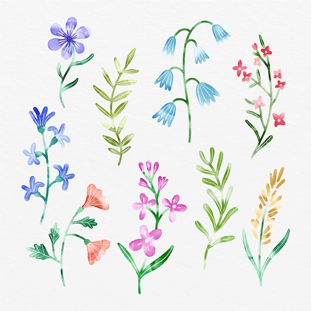 Vector gratuito colección de flores de primavera pintadas a mano.