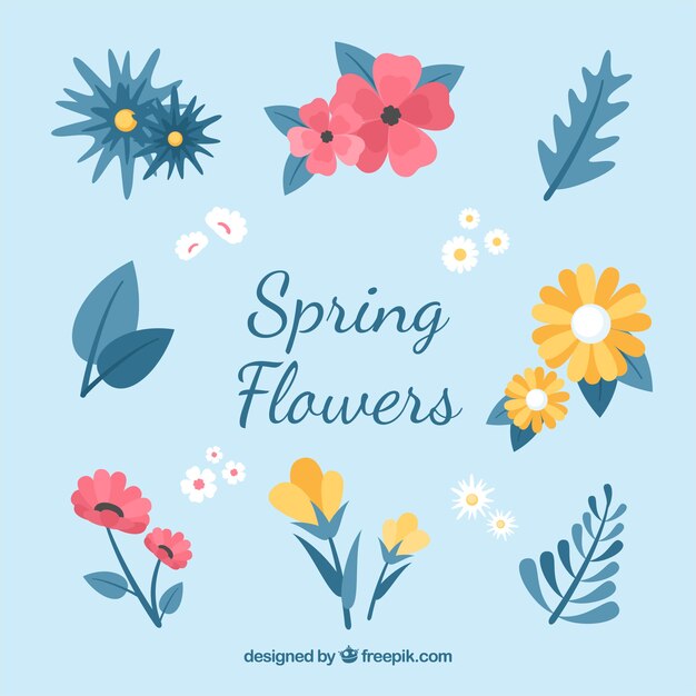 Colección de flores de primavera plana