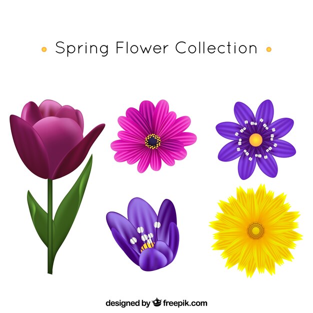 Colección de flores de primavera realista