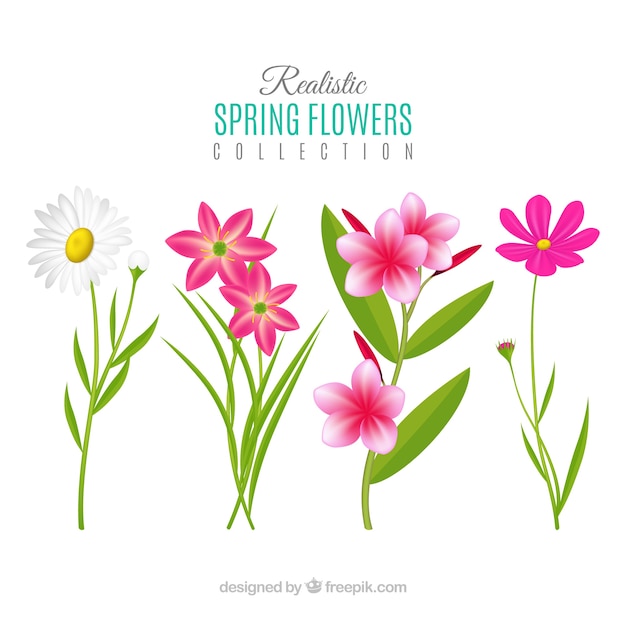 Vector gratuito colección de flores de primavera realistas