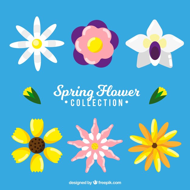 Colección de flores de primavera