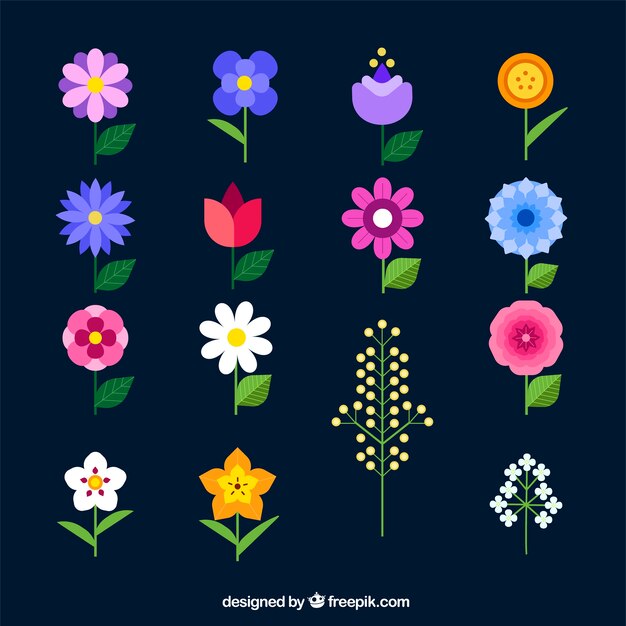 Colección de flores de primavera
