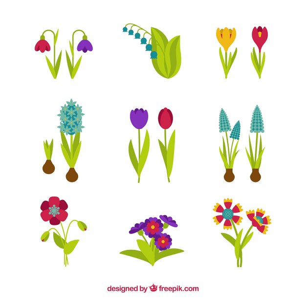 Colección de flores de primavera
