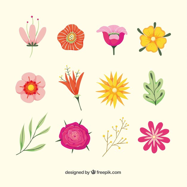 Colección de flores de primavera