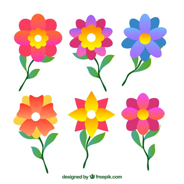 Colección de flores de primavera