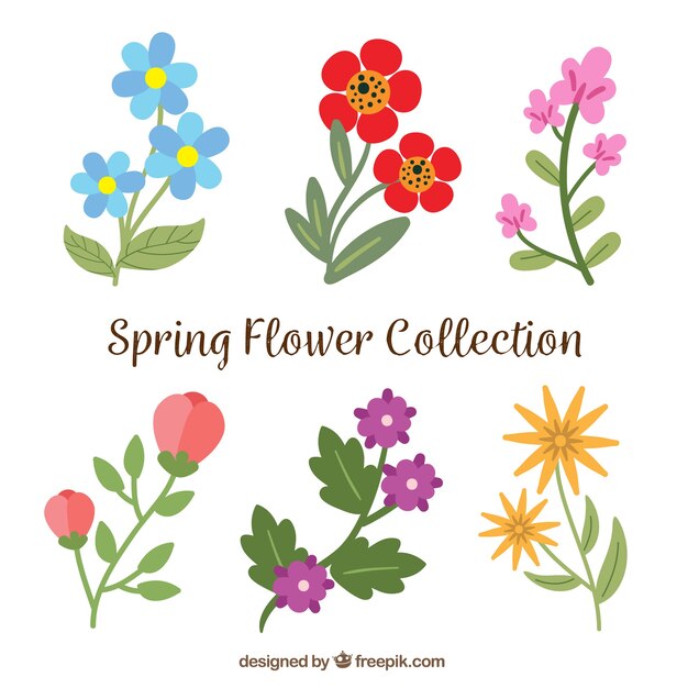 Colección de flores de primavera