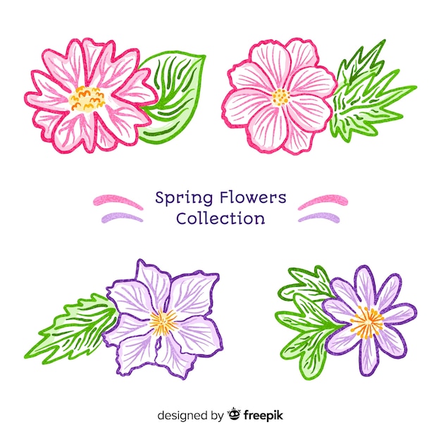 Vector gratuito colección de flores de primavera