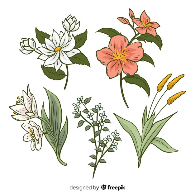Colección de flores de primavera