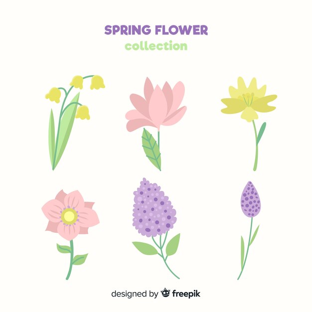 Colección de flores de primavera