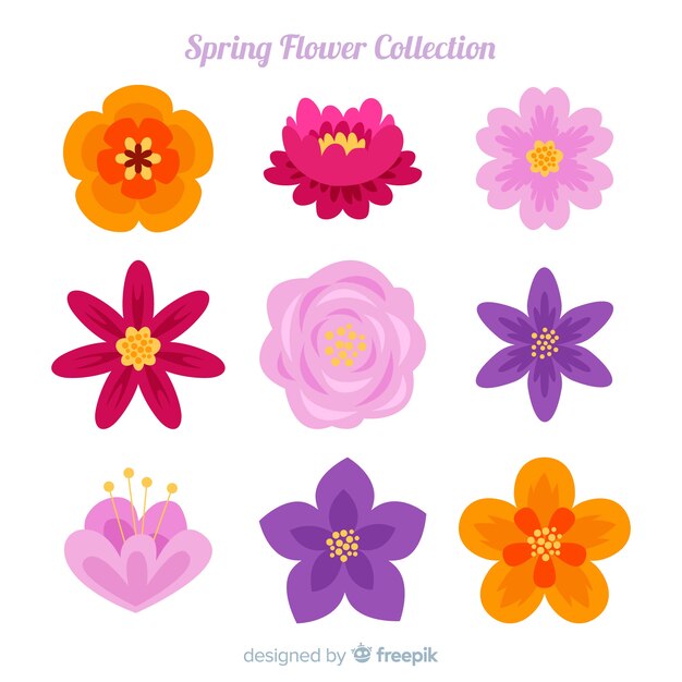 Colección de flores de primavera