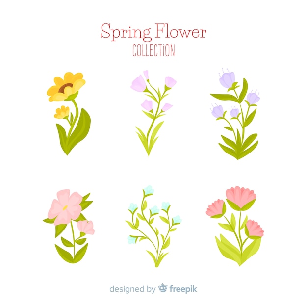 Colección de flores de primavera