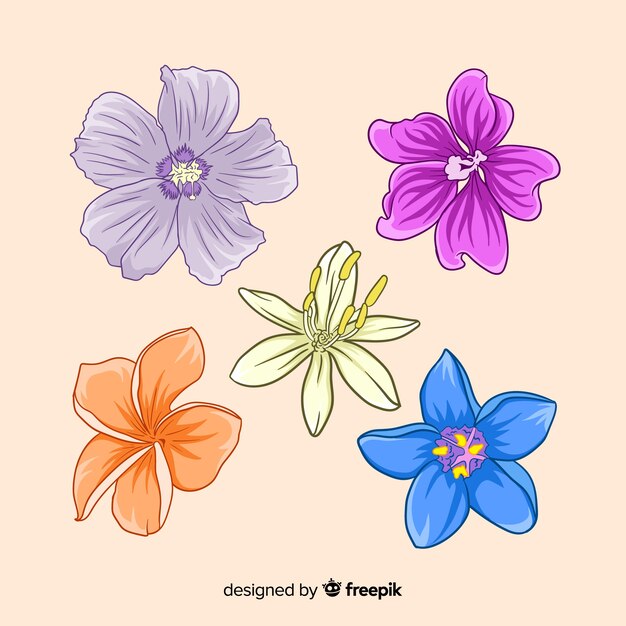 Colección flores de primavera