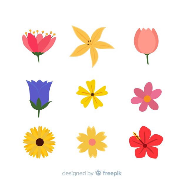 Colección flores de primavera