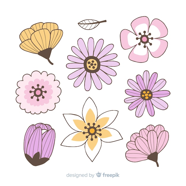 Colección de flores de primavera