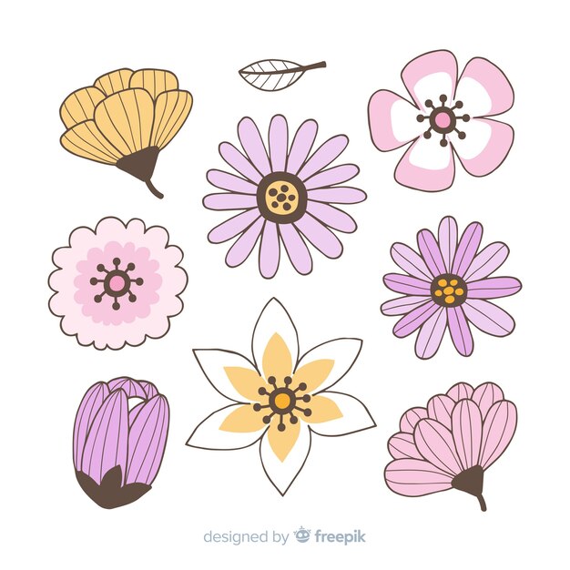 Colección de flores de primavera