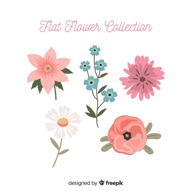 Colección flores de primavera
