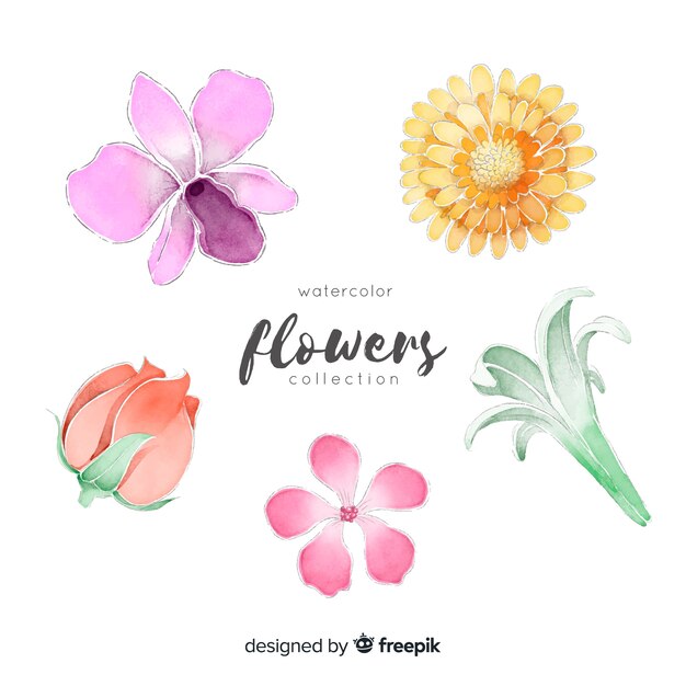 Colección flores de primavera