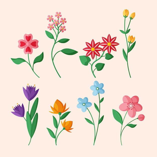 Colección de flores de primavera