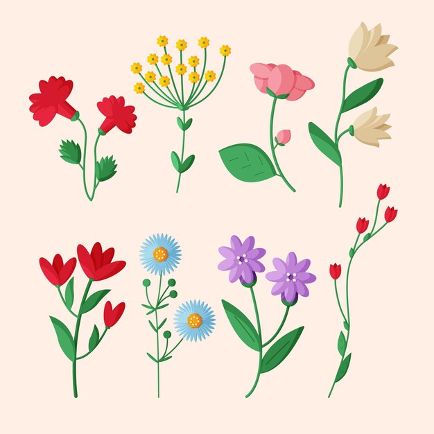 Colección de flores de primavera