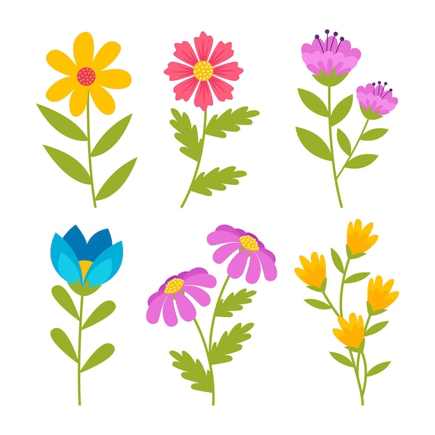 Colección de flores de primavera