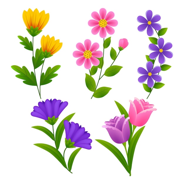 Vector gratuito colección de flores de primavera