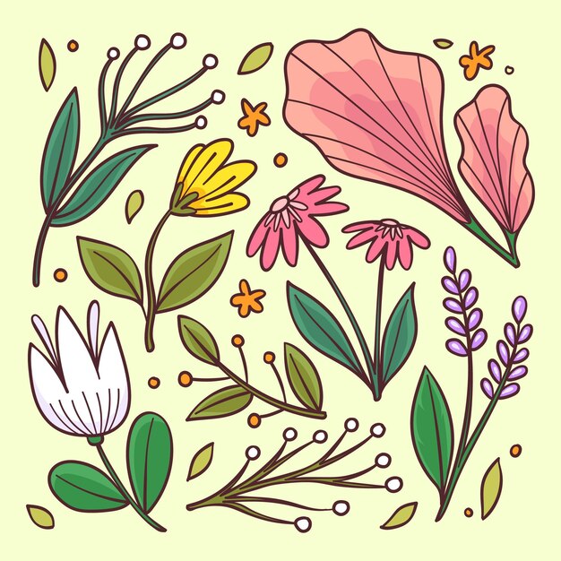 Vector gratuito colección de flores de primavera