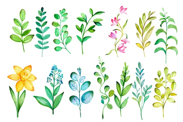 Colección de flores de primavera