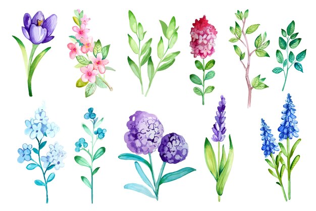 Colección de flores de primavera