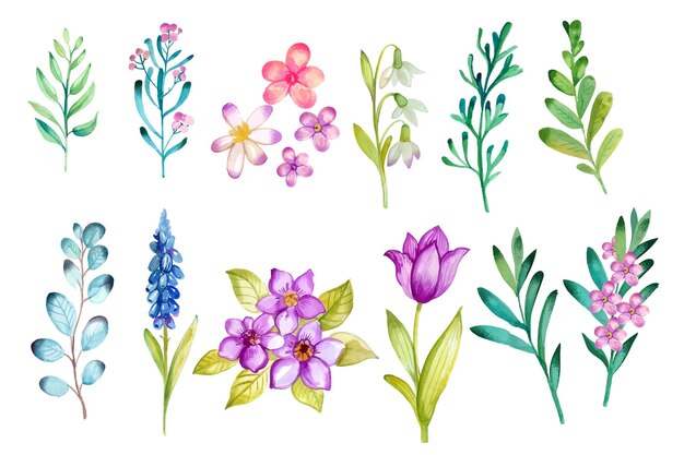 Colección de flores de primavera