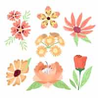 Vector gratuito colección de flores de primavera