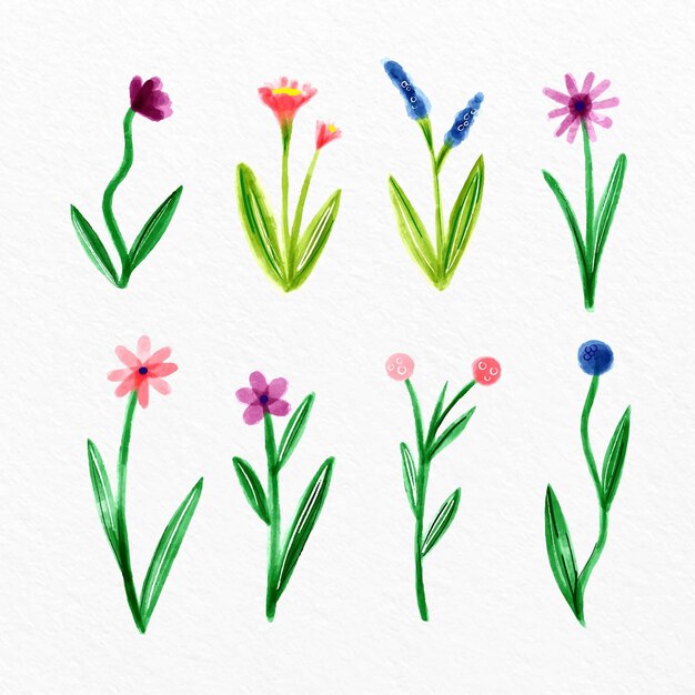 Colección de flores de primavera