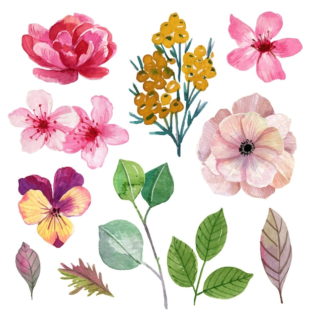 Vector gratuito colección de flores de primavera