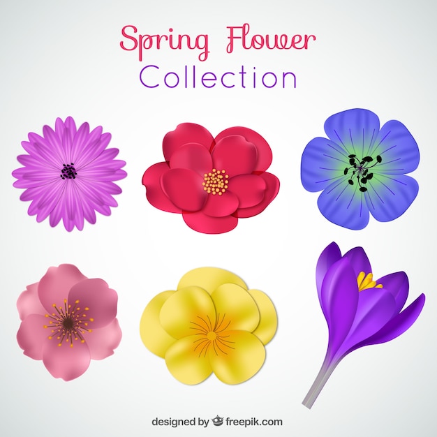 Vector gratuito colección de flores realistas