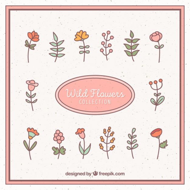 Colección de flores silvestres dibujadas a mano