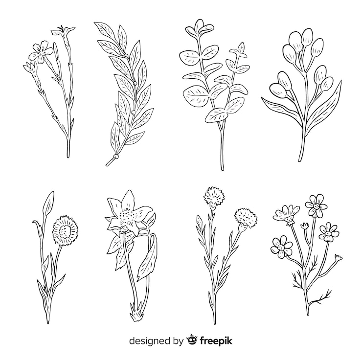Vector gratuito colección de flores silvestres con tallos