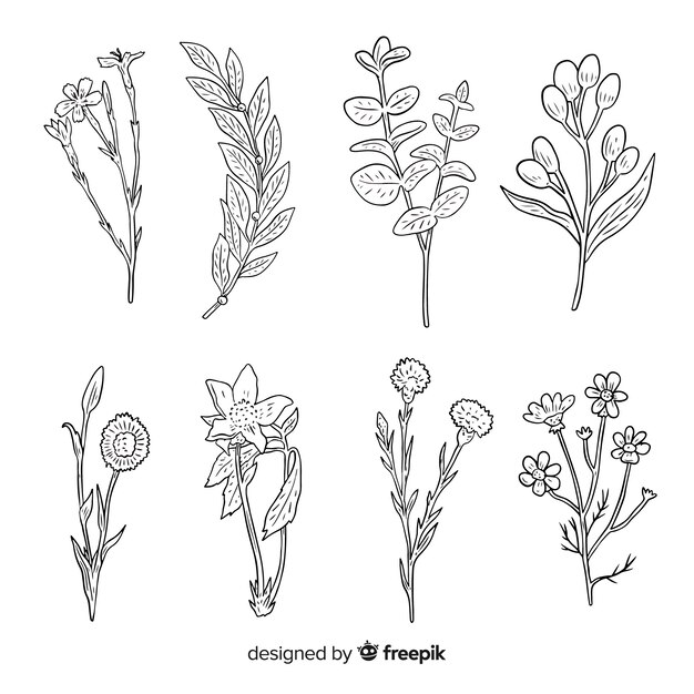 Colección de flores silvestres con tallos