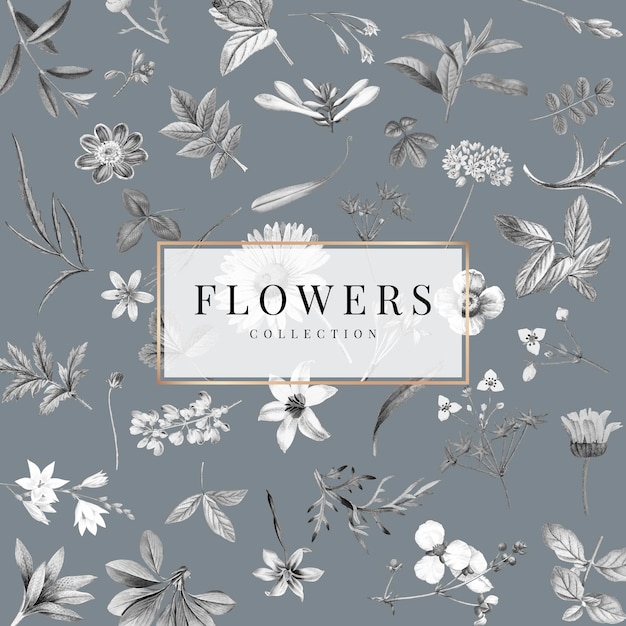 Colección de flores sobre un fondo gris
