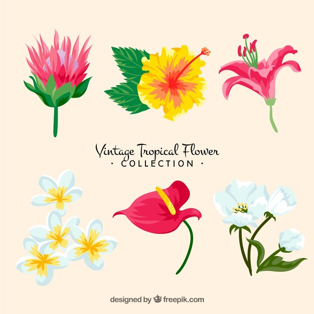 Colección de flores tropicales con colores brillantes en estilo vintage
