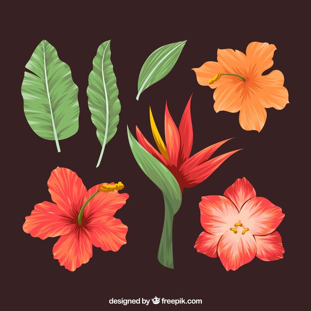 Colección de flores tropicales con colores cálidos en estilo vintage
