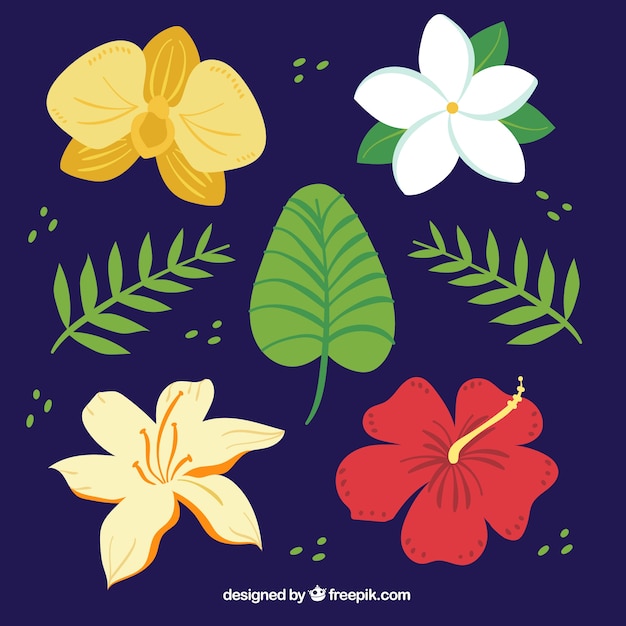 Colección de flores tropicales con colores