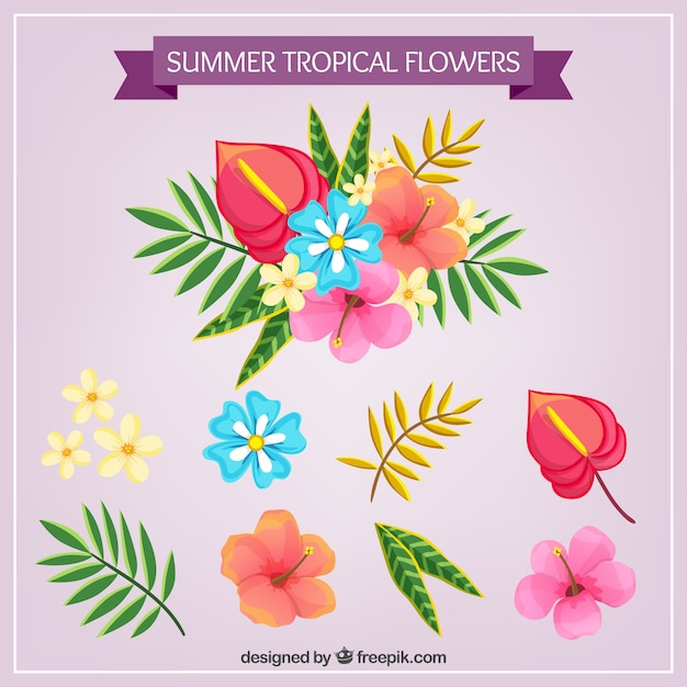 Vector gratuito colección de flores tropicales coloridas