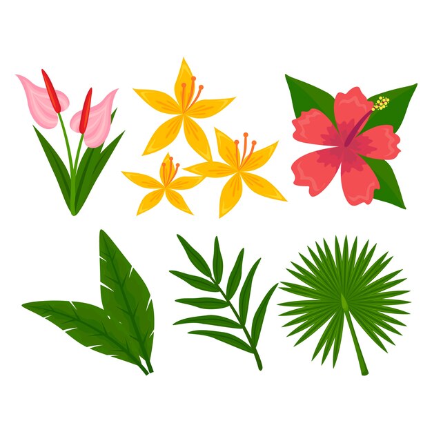 Colección de flores tropicales y diseño de hojas.