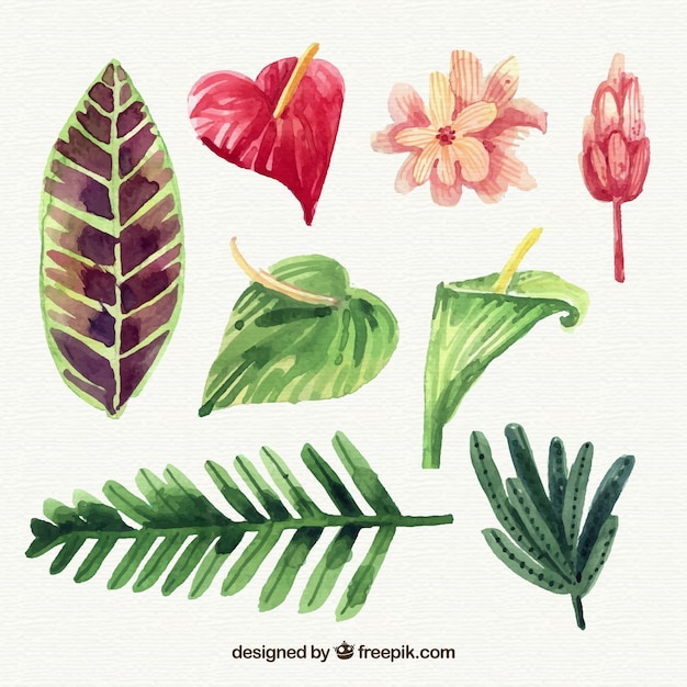 Vector gratuito colección de flores tropicales en estilo acuarela