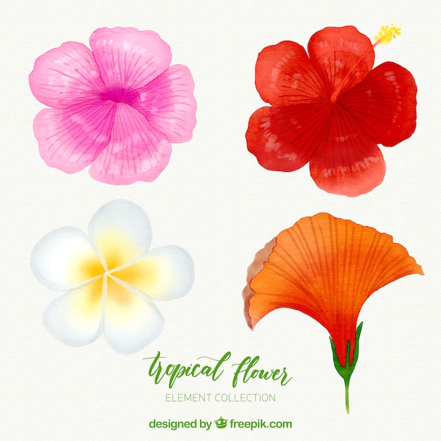 Vector gratuito colección de flores tropicales en estilo acuarela