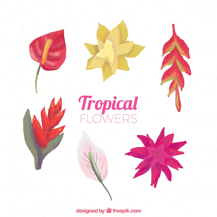 Vector gratuito colección de flores tropicales en estilo acuarela