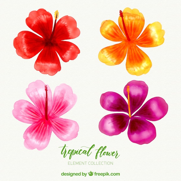 Vector gratuito colección de flores tropicales en estilo acuarela