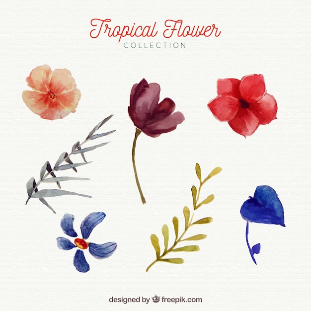 Colección de flores tropicales en estilo acuarela