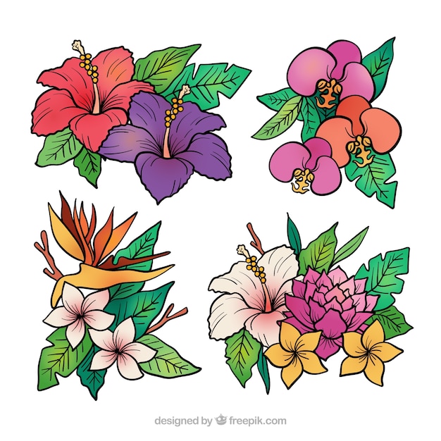 Colección de flores tropicales en estilo hecho a mano 