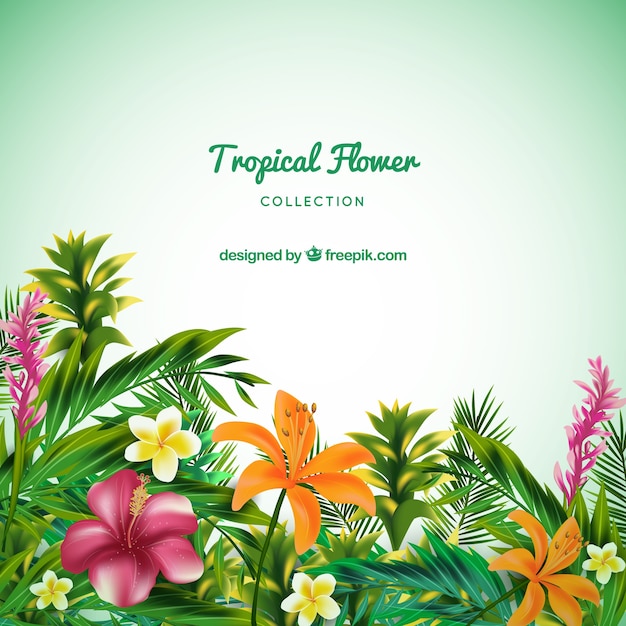 Vector gratuito colección de flores tropicales en estilo realista